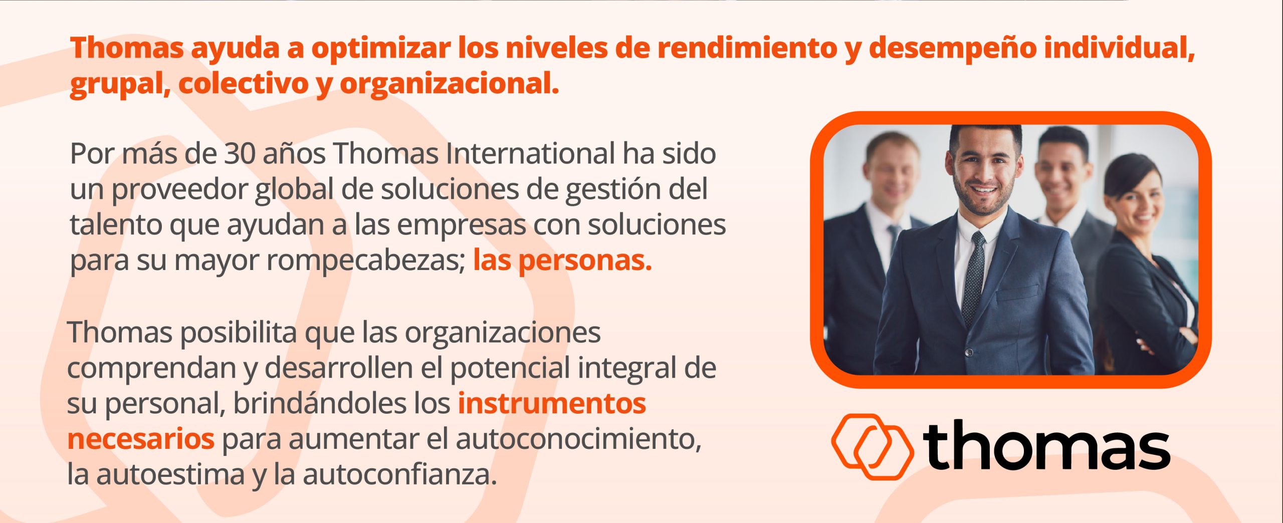 Thomas International IMC sección 2