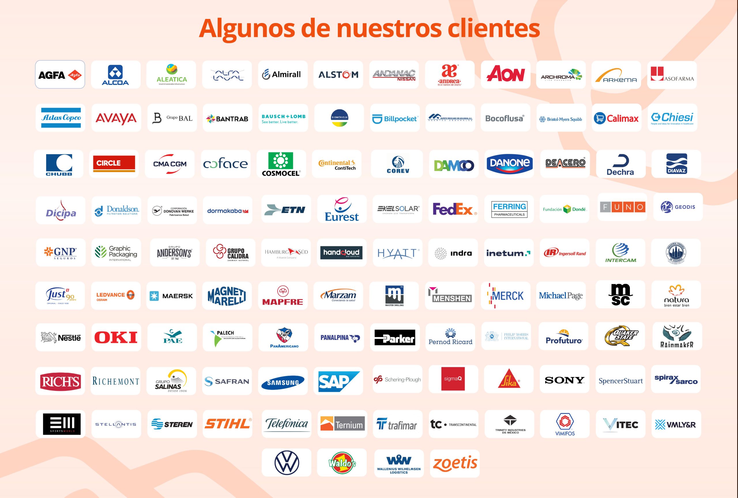 Thomas International IMC sección 6