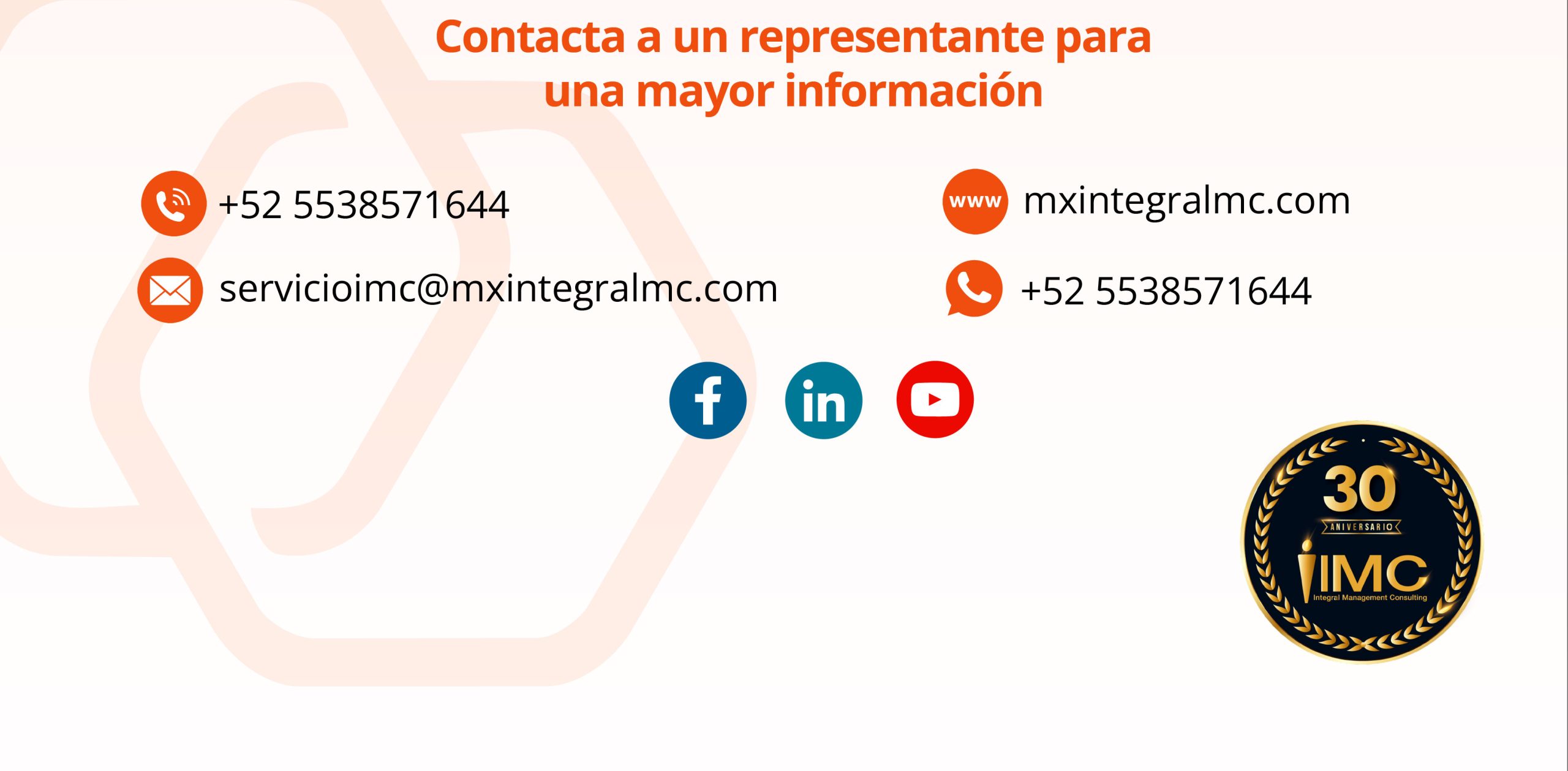 Thomas International IMC sección 8